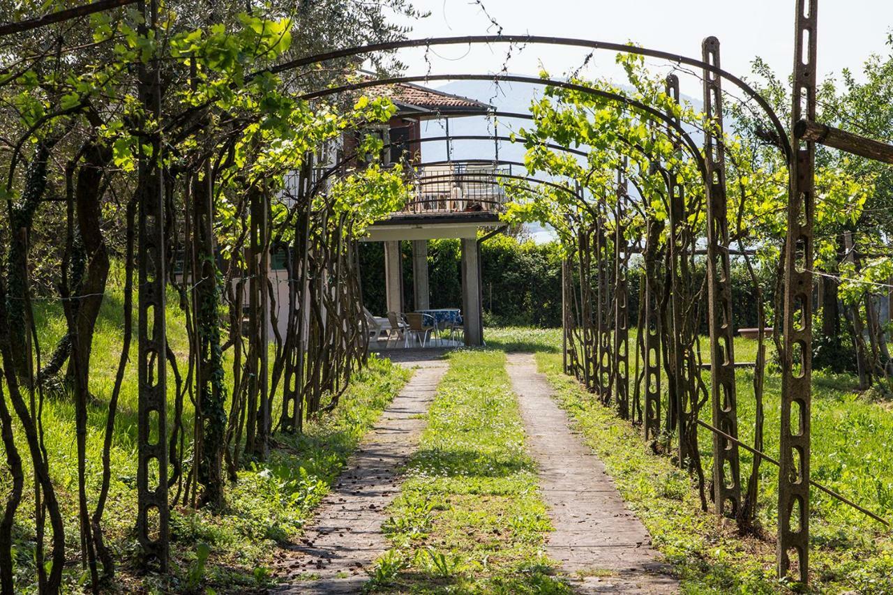 Villa Florida App Pelikan Oben Und App Sandpiper Unten Pilzone Kültér fotó